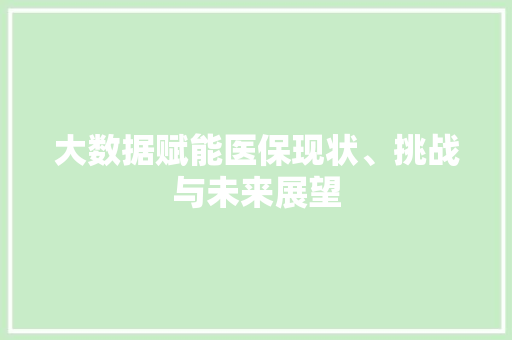 大数据赋能医保现状、挑战与未来展望  第1张