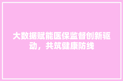 大数据赋能医保监督创新驱动，共筑健康防线  第1张