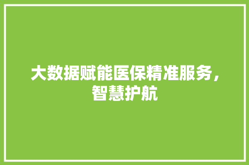 大数据赋能医保精准服务，智慧护航  第1张