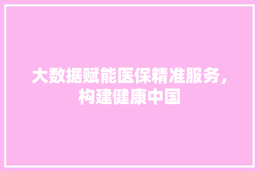 大数据赋能医保精准服务，构建健康中国  第1张