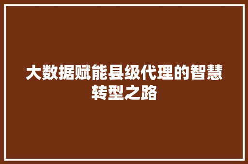 大数据赋能县级代理的智慧转型之路  第1张