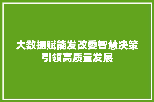 大数据赋能发改委智慧决策引领高质量发展