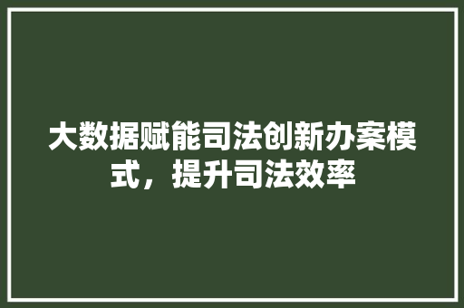 大数据赋能司法创新办案模式，提升司法效率