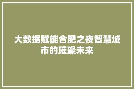 大数据赋能合肥之夜智慧城市的璀璨未来