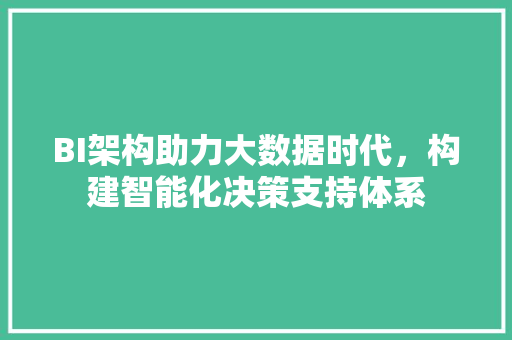 BI架构助力大数据时代，构建智能化决策支持体系