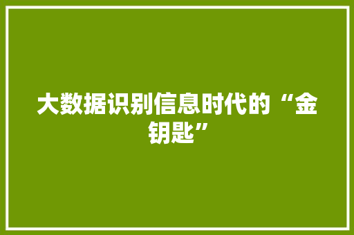 大数据识别信息时代的“金钥匙”