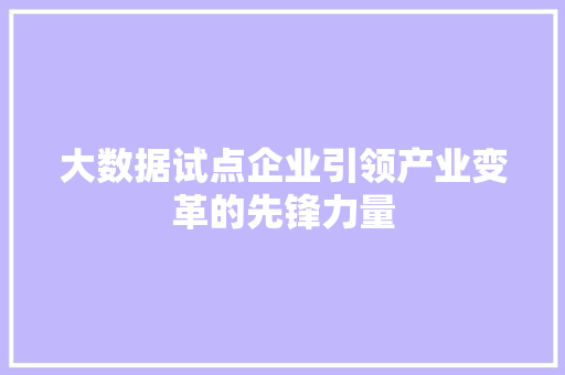 大数据试点企业引领产业变革的先锋力量  第1张