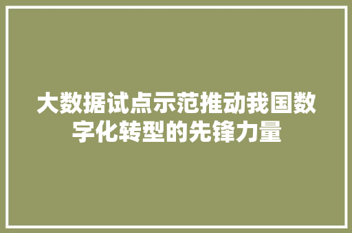 大数据试点示范推动我国数字化转型的先锋力量  第1张