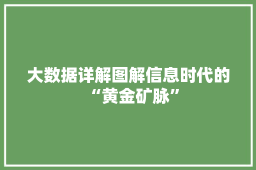 大数据详解图解信息时代的“黄金矿脉”