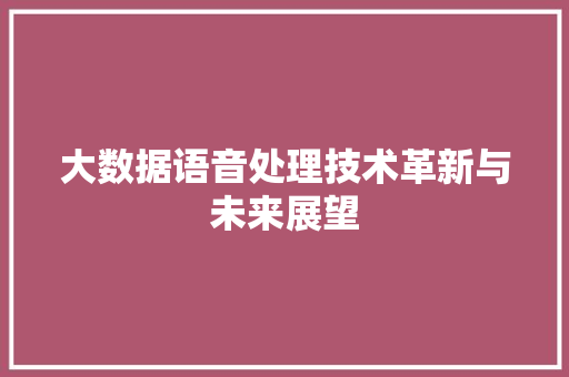 大数据语音处理技术革新与未来展望
