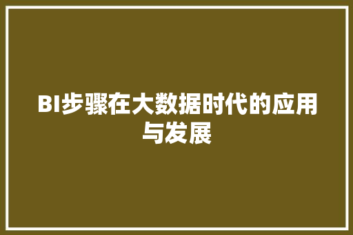 BI步骤在大数据时代的应用与发展
