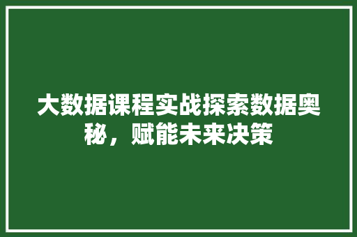 大数据课程实战探索数据奥秘，赋能未来决策