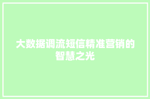 大数据调流短信精准营销的智慧之光  第1张