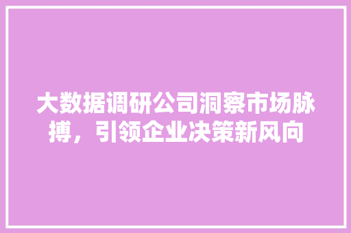 大数据调研公司洞察市场脉搏，引领企业决策新风向  第1张