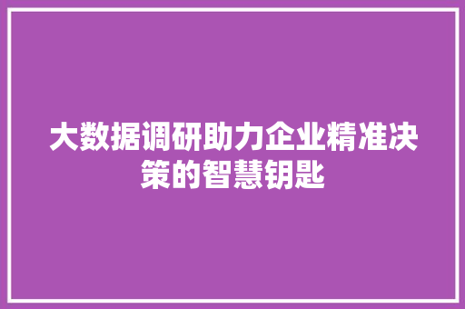大数据调研助力企业精准决策的智慧钥匙  第1张