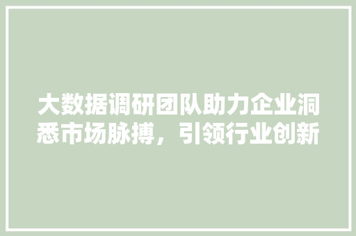 大数据调研团队助力企业洞悉市场脉搏，引领行业创新发展  第1张
