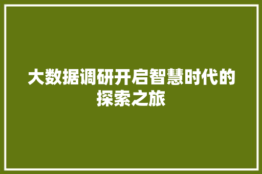 大数据调研开启智慧时代的探索之旅  第1张