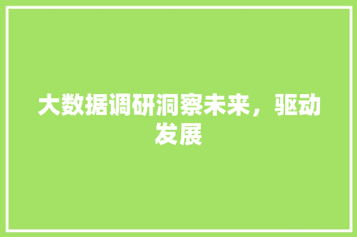 大数据调研洞察未来，驱动发展  第1张