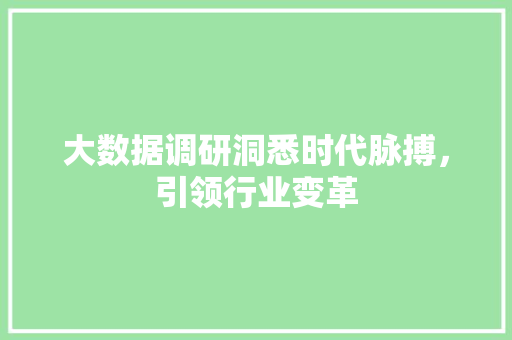 大数据调研洞悉时代脉搏，引领行业变革