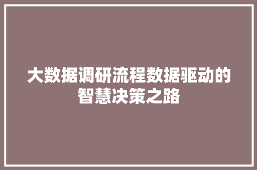 大数据调研流程数据驱动的智慧决策之路  第1张