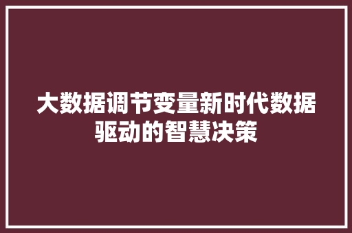 大数据调节变量新时代数据驱动的智慧决策  第1张