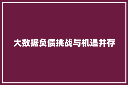 大数据负债挑战与机遇并存
