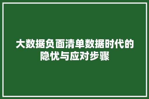 大数据负面清单数据时代的隐忧与应对步骤  第1张