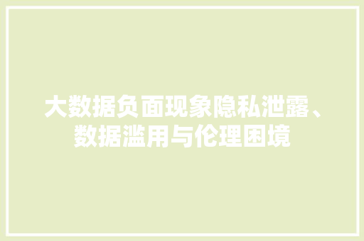 大数据负面现象隐私泄露、数据滥用与伦理困境