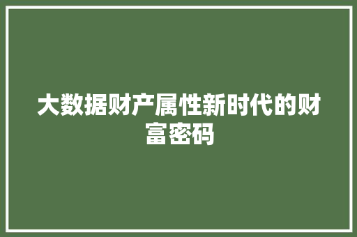 大数据财产属性新时代的财富密码  第1张