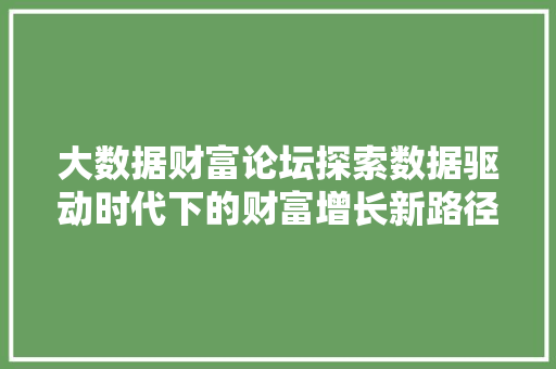 大数据财富论坛探索数据驱动时代下的财富增长新路径  第1张
