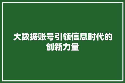 大数据账号引领信息时代的创新力量