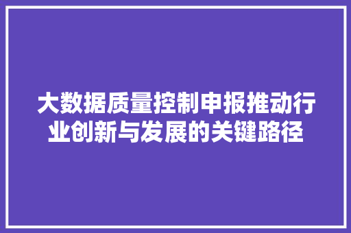 大数据质量控制申报推动行业创新与发展的关键路径  第1张