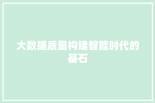 大数据质量构建智能时代的基石  第1张