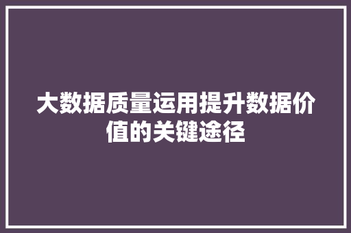 大数据质量运用提升数据价值的关键途径  第1张