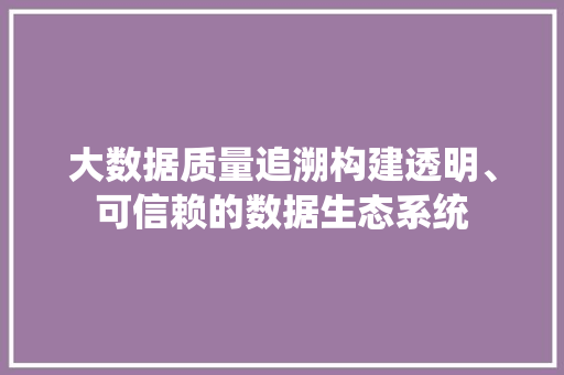 大数据质量追溯构建透明、可信赖的数据生态系统  第1张