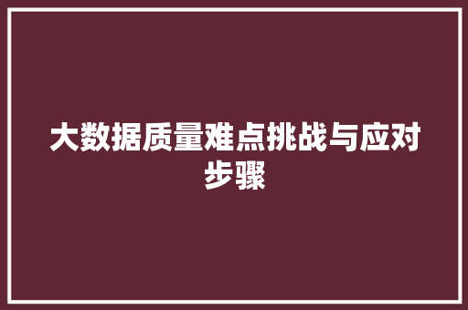 大数据质量难点挑战与应对步骤