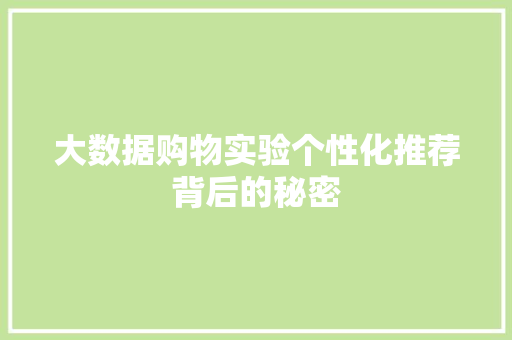 大数据购物实验个性化推荐背后的秘密