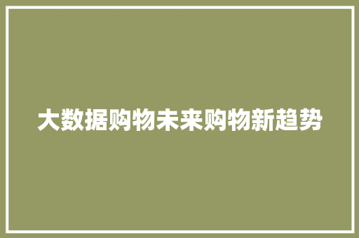 大数据购物未来购物新趋势