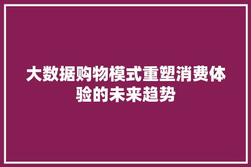 大数据购物模式重塑消费体验的未来趋势