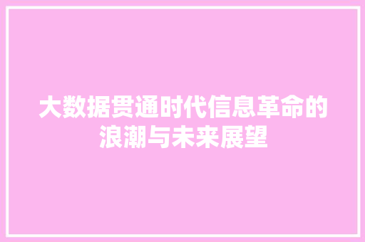 大数据贯通时代信息革命的浪潮与未来展望  第1张