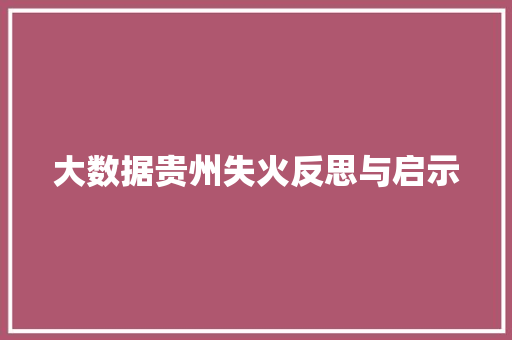 大数据贵州失火反思与启示
