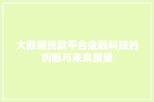 大数据贷款平台金融科技的创新与未来展望