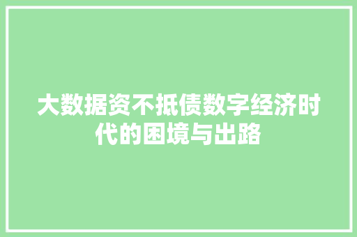 大数据资不抵债数字经济时代的困境与出路
