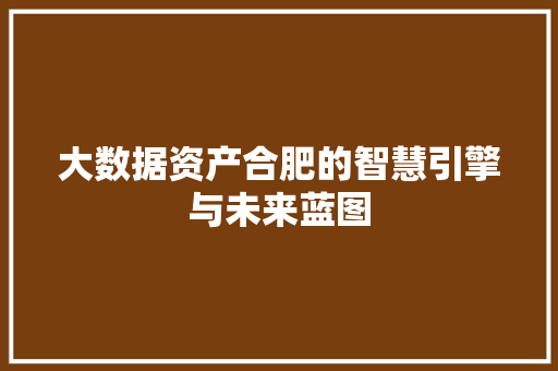 大数据资产合肥的智慧引擎与未来蓝图