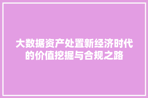 大数据资产处置新经济时代的价值挖掘与合规之路  第1张