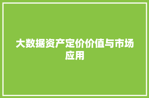 大数据资产定价价值与市场应用  第1张