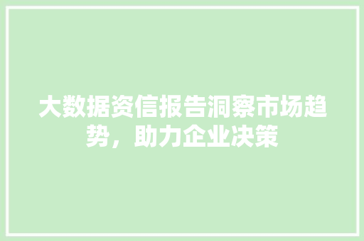 大数据资信报告洞察市场趋势，助力企业决策