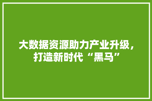 大数据资源助力产业升级，打造新时代“黑马”  第1张
