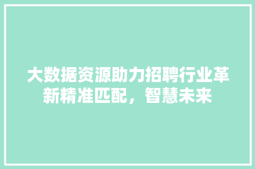 大数据资源助力招聘行业革新精准匹配，智慧未来  第1张