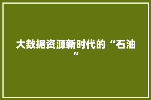 大数据资源新时代的“石油”  第1张